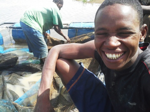 mali-fish-farm-worker